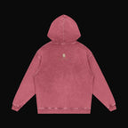 Anatomy of the Dragon Hoodie - old 6 (art back)