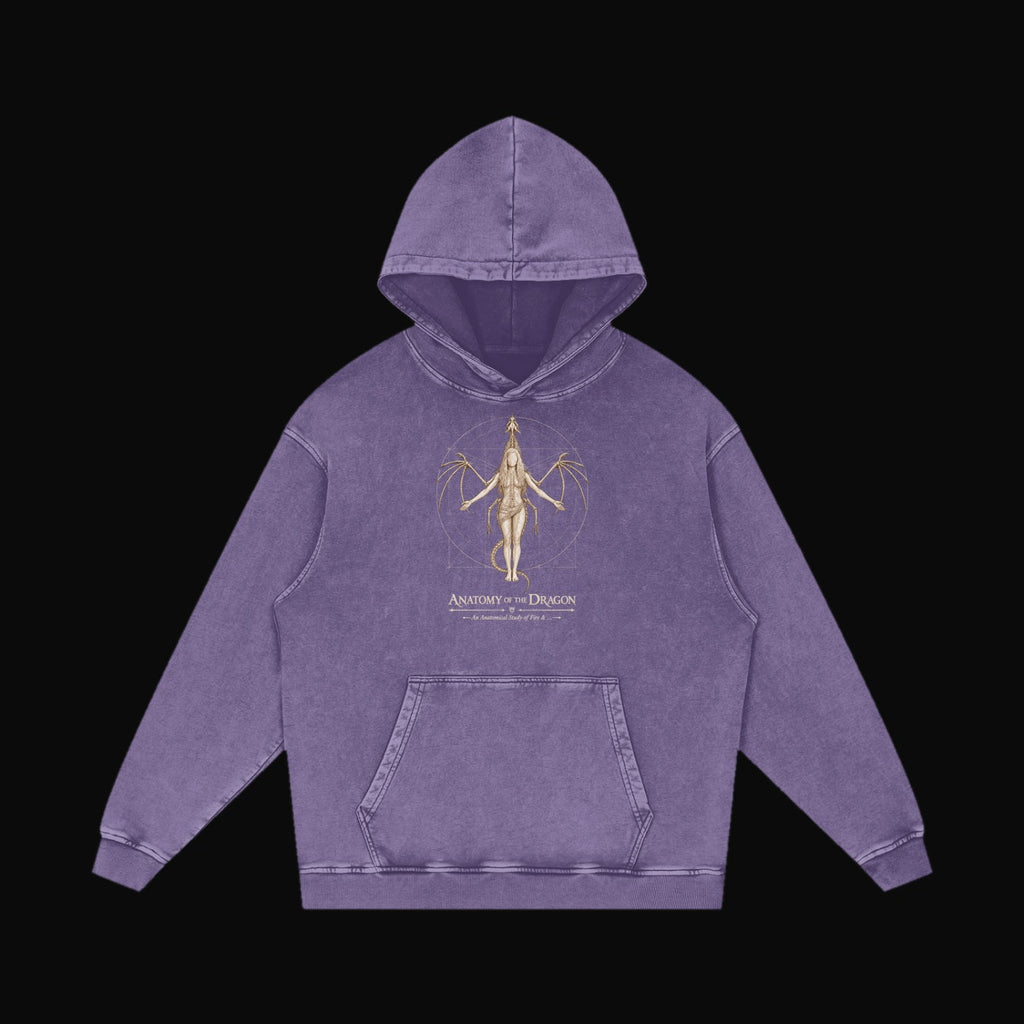 Anatomy of the Dragon Hoodie - old 11 (art front)