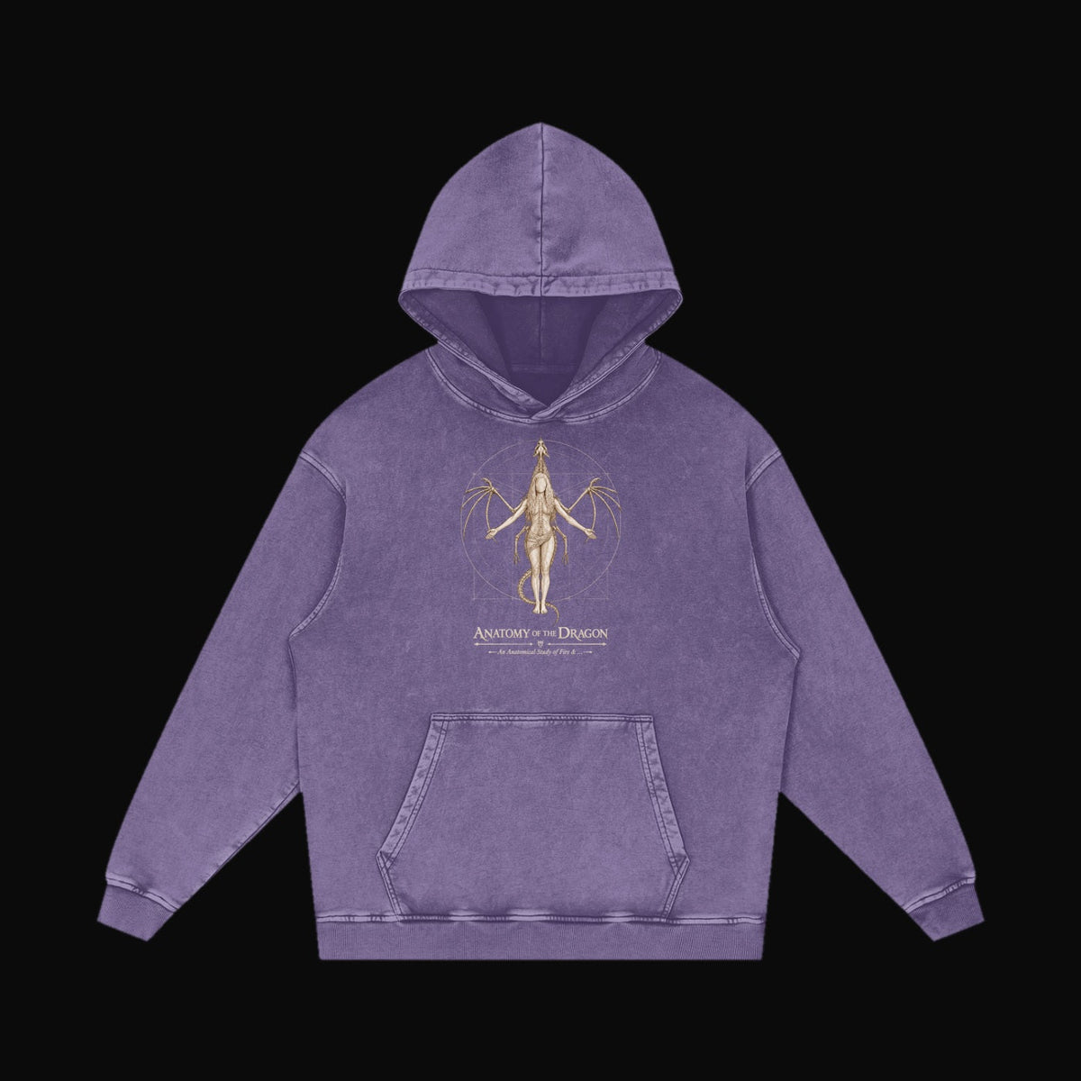 Anatomy of the Dragon Hoodie - old 11 (art front)