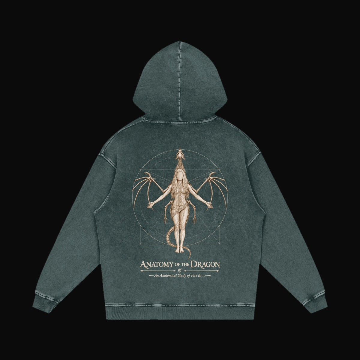 Anatomy of the Dragon Hoodie - garment 10