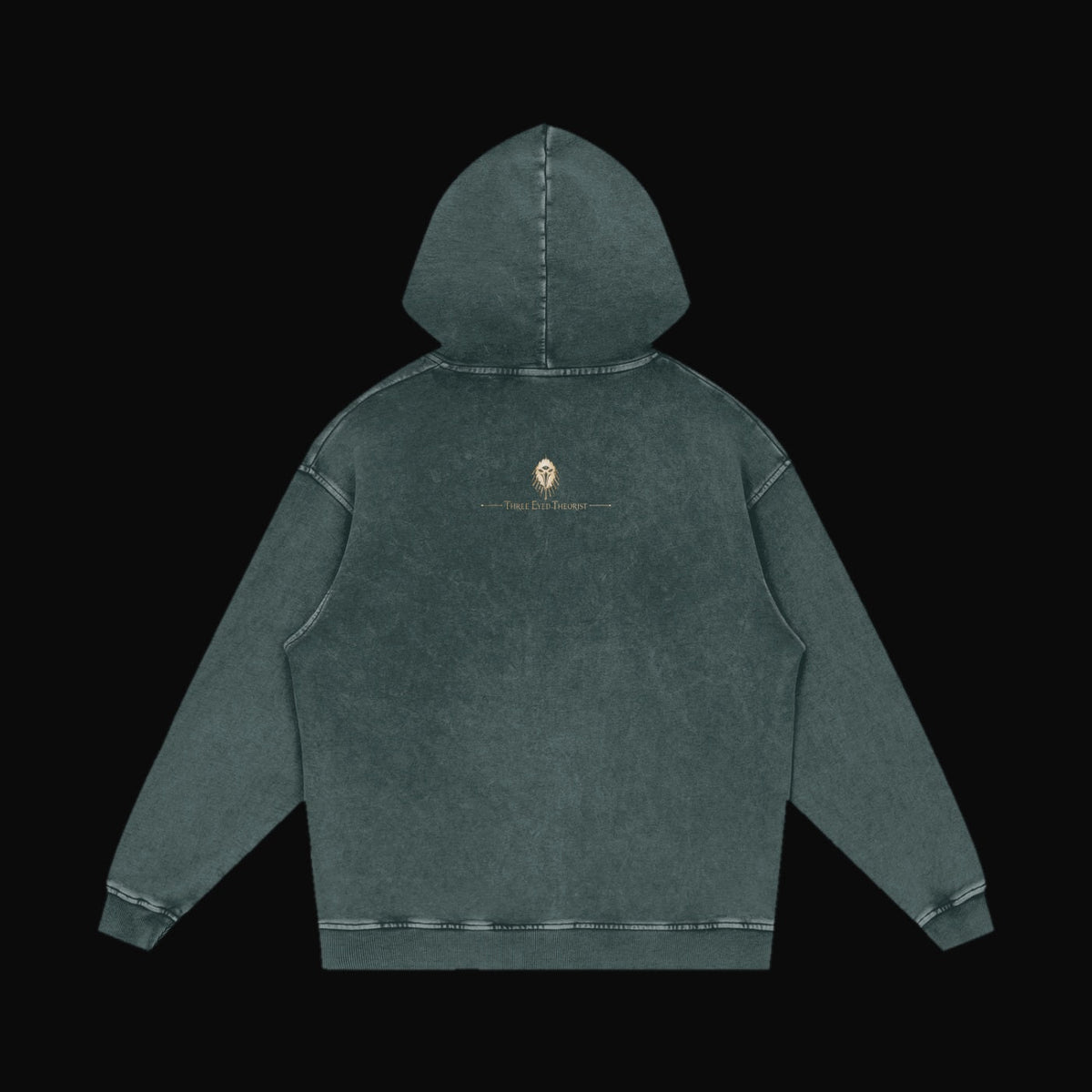 Anatomy of the Dragon Hoodie - old 10 (art back)