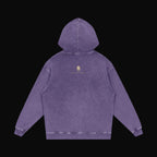 Anatomy of the Dragon Hoodie - old 12 (art back)