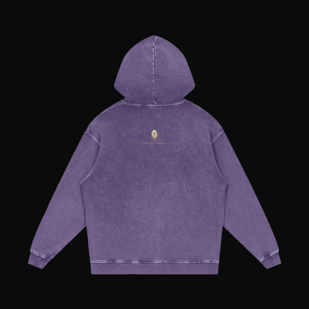 Anatomy of the Dragon Hoodie - old 12 (art back)